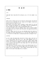 [전략경영론] 듀오 다각화 전략-17