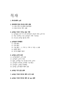 [국제마케팅] 하이트 맥주 브라질 시장 진출 계획-2