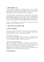 [국제마케팅] 하이트 맥주 브라질 시장 진출 계획-3