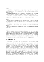 [국제마케팅] 하이트 맥주 브라질 시장 진출 계획-7