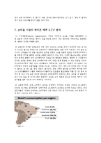 [국제마케팅] 하이트 맥주 브라질 시장 진출 계획-14