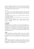 [국제경영] 중국남성화장품 시장분석과 맨스튜디오의 진출전략-12