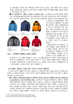 [마케팅] 마케팅 이론과 전략을 활용 한 BEAN POLE(빈폴)의 아웃도어 시장 진출과 실행계획-9