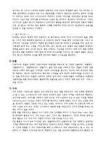 [마케팅] 마케팅 이론과 전략을 활용 한 BEAN POLE(빈폴)의 아웃도어 시장 진출과 실행계획-19