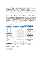 [미소금융] 그라민은행의 문제점 및 개선방안-15