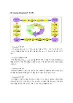 [MIS, 경영정보] SK텔레콤 CRM 사례 연구-17