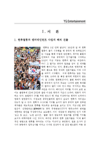 [글로벌경영] YG엔터테인먼트 일본 음악시장 진출 성공과 마케팅전략 분석-3