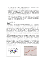 [무역실무] 해충방제업체 `세스코` 수출에 따른 stp전략 -중국시장-18