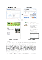 [무역실무] 해충방제업체 `세스코` 수출에 따른 stp전략 -중국시장-19