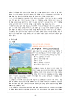 [마케팅] 오로라 월드 경영 사례 분석-4
