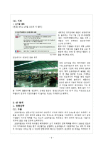 [마케팅] 오로라 월드 경영 사례 분석-11