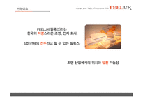 [전략경영] FEELUX 필룩스 감성전략 -성공 경영전략 사례 분석-4