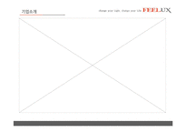 [전략경영] FEELUX 필룩스 감성전략 -성공 경영전략 사례 분석-6