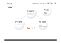 [전략경영] FEELUX 필룩스 감성전략 -성공 경영전략 사례 분석-7
