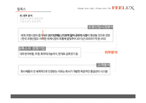 [전략경영] FEELUX 필룩스 감성전략 -성공 경영전략 사례 분석-8
