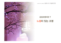 [전략경영] FEELUX 필룩스 감성전략 -성공 경영전략 사례 분석-10