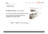 [전략경영] FEELUX 필룩스 감성전략 -성공 경영전략 사례 분석-11