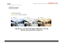 [전략경영] FEELUX 필룩스 감성전략 -성공 경영전략 사례 분석-12
