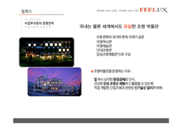 [전략경영] FEELUX 필룩스 감성전략 -성공 경영전략 사례 분석-14