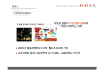 [전략경영] FEELUX 필룩스 감성전략 -성공 경영전략 사례 분석-16