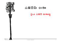 국내 스포츠 마케팅-1