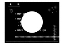 [국제마케팅] MTV 글로벌마케팅 전략-2