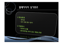 [국제마케팅] MTV 글로벌마케팅 전략-11