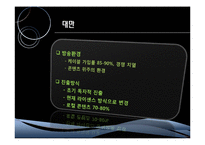 [국제마케팅] MTV 글로벌마케팅 전략-12