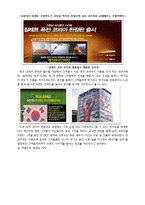 질레트의 마케팅전략 -퓨전 및 퓨전파워 코리아 한정판 제품을 중심으로-14