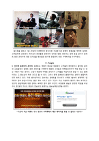 질레트의 마케팅전략 -퓨전 및 퓨전파워 코리아 한정판 제품을 중심으로-15