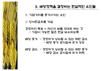 [재무] 배당정책-20