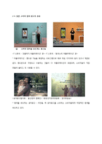[소비자 행동론] 스타 광고-8