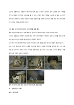 [소비자 행동론] 스타 광고-11
