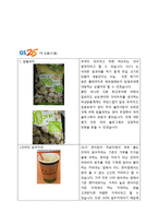 GS25와 세븐일레븐의 비교 분석-10