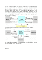 이슬람 금융과 사회책임투자-8