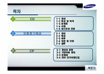 CD, 외화정기예금,CP-2
