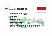 [아시아경제론] 인도네시아 조사-2