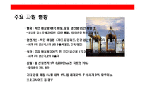 [아시아경제론] 인도네시아 조사-9