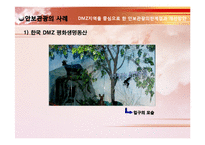 DMZ지역을 중심으로 한 안보관광의 한계점과 개선방안-15