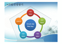 Circuit city 와 Best buy 서킷시티와 베스트바이의 경영전략 비교 및 분석-4
