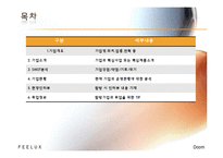 [인사관리] 필룩스(FEELUX) 조사-2
