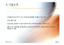 [인사관리] 필룩스(FEELUX) 조사-4