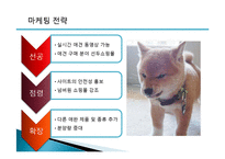 [E-비즈니스] 인터넷 애견샵 사업계획서-12