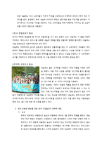 [국제경영] 한국 네슬레 Nestle Korea의 현지화 전략-9