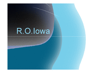 [경영정보론] IT ROI, R.O.Iowa-4