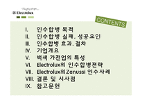 [국제경영] Electrolux의 Zanussi 인수합병사례-2