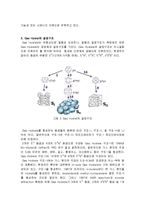 [대체에너지] 가스 하이드레이트-3