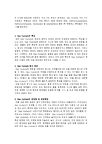 [대체에너지] 가스 하이드레이트-4