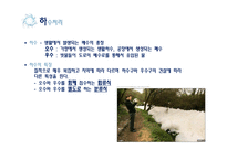 [환경공학] 우리나라의 수처리-13