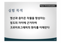 Paper Chromatography 실험-4